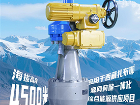 4500米！南宫NG28集团服务全球海拔最高的光热电站