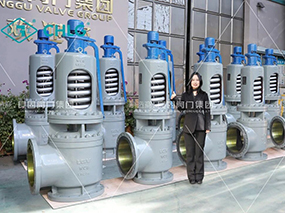 南宫NG28为华能热电项目交付一批高温高压安全阀Delivered a Batch of Safety Valves for China Huaneng Thermal Power Project